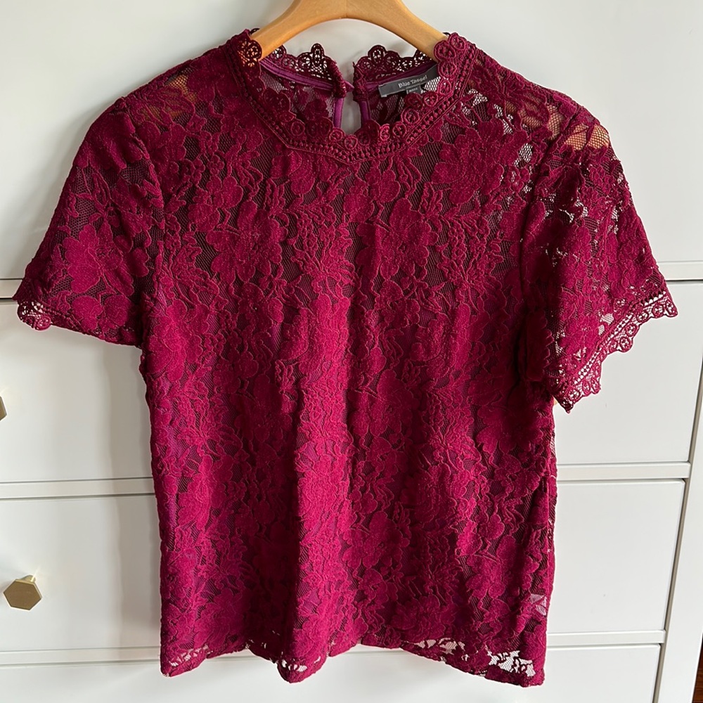 Anthropologie Lace Mock Neck Short Sleeve Blouse